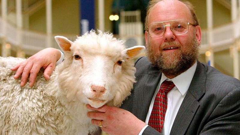 Muere a los 79 años Ian Wilmut, "padre" de la oveja Dolly  