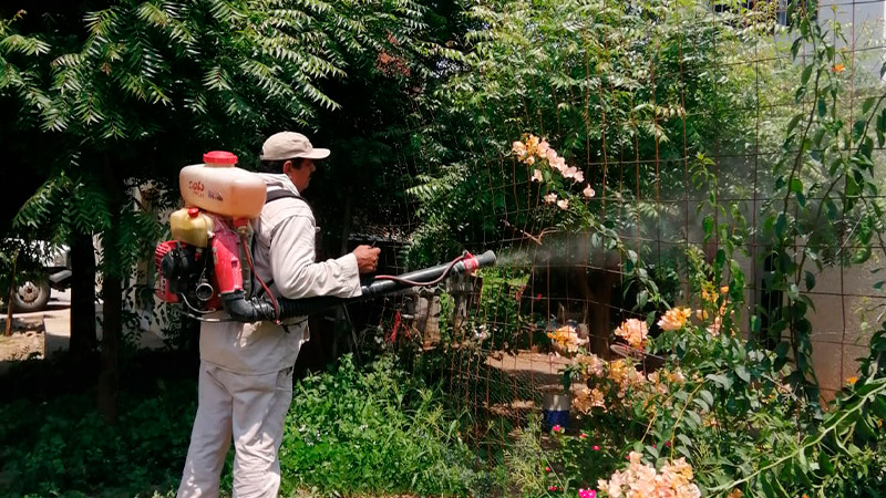 Reporta Salud Michoacán cerca de 800 mil acciones contra el dengue durante 2023