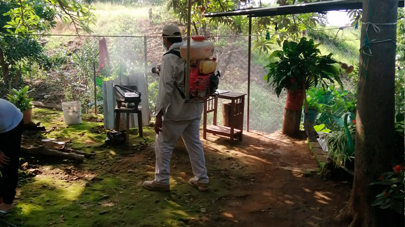 Reporta Salud Michoacán cerca de 800 mil acciones contra el dengue durante 2023