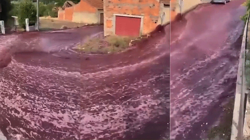 Luego de que tanques de destilería estallaran, río de vino tinto inunda las calles de un pueblo de Portugal 