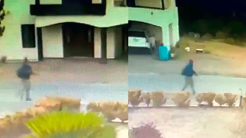 En Montemorelos, Nuevo León, captan a hombre armado disparando contra perros en las calles 