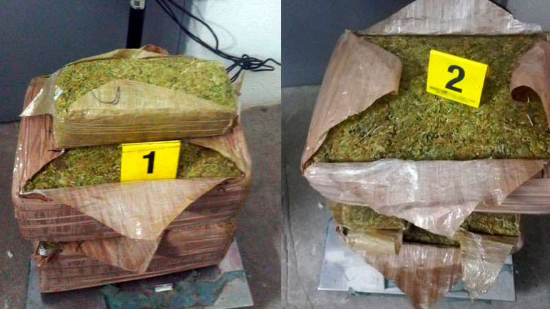 Asegura 73 kilos de droga que serían enviados por paquetería, en San Luis Potosí 