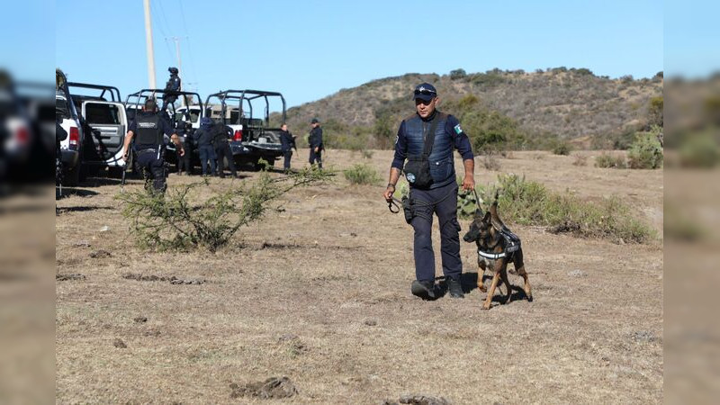 Canes de la Guardia Civil han brindado 61 apoyos para búsqueda de personas, drogas y combate a la delincuencia 
