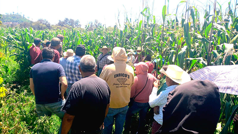 Sader capacita a técnicos de Agrosano sobre selección de maíces nativos