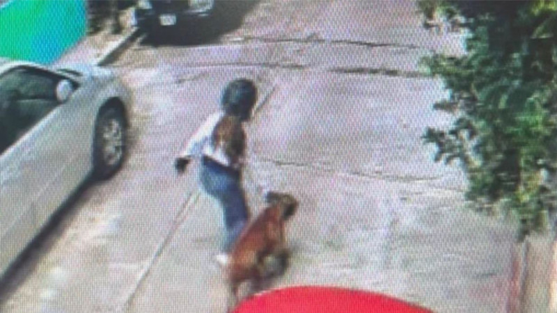 Propietario de perro pitbull responde a incidente con niño de 5 años: No intenté escapar, estuve al pendiente 