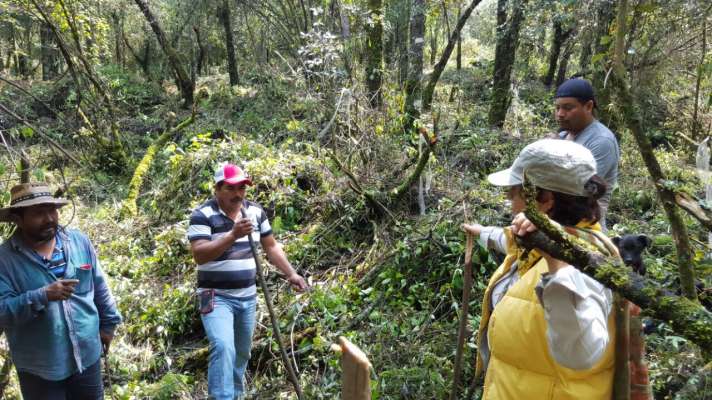 SEMARNACC implementa acciones de conservación en Capacuaro 