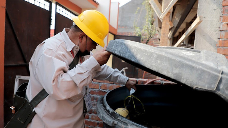 Michoacán registra incidencia a la baja  en casos de dengue