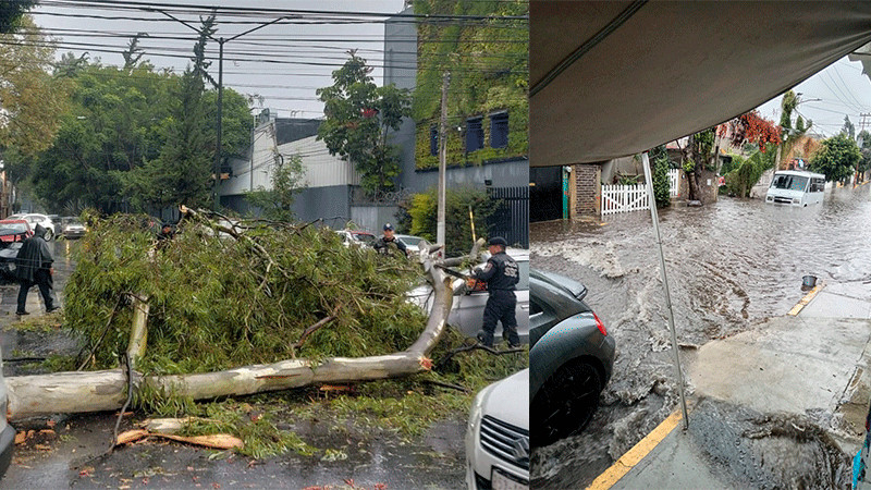 Tras intensas lluvias registradas en CDMX, reportan inundaciones y caída de árboles 