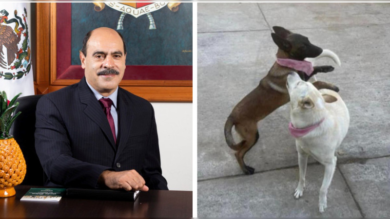 Tras matar a dos perros y zafarse a billetazos, Alcalde de Tangancícuaro dice que no necesita terapias de sensibilización: "Yo soy animalista" 