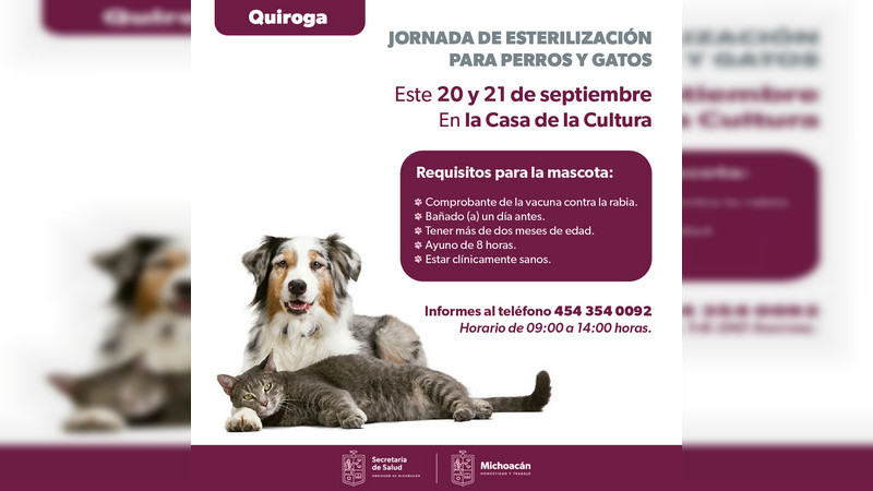 Anuncia Salud Michoacán jornada de esterilización canina y felina en Quiroga