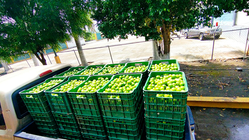 Sin contratiempos se realizó tianguis limonero de Apatzingán: Sader