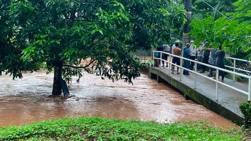 Lluvias dejan afectaciones en carreteras y puentes en la Costa de Oaxaca 