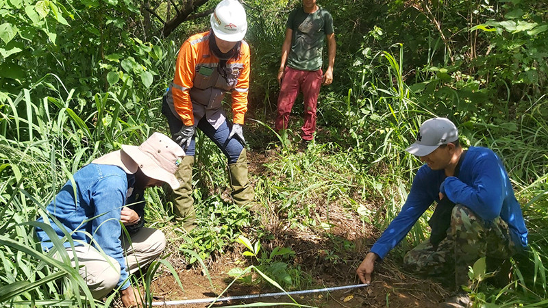 Cofom y ArcelorMittal revisan avance de restauración forestal en Lázaro Cárdenas