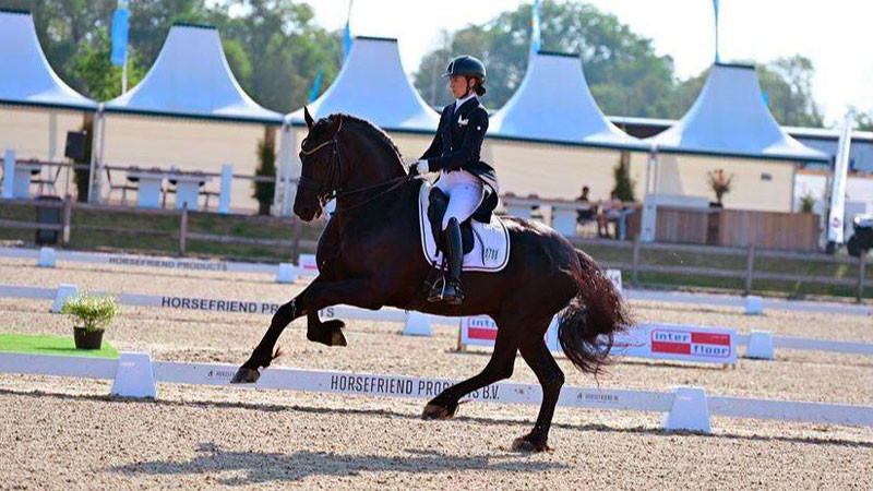 Binomios de adiestramiento buscan clasificación a Juegos Olímpicos 