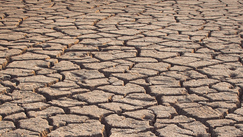 Más del 80% de país sufre por sequías: SMN 