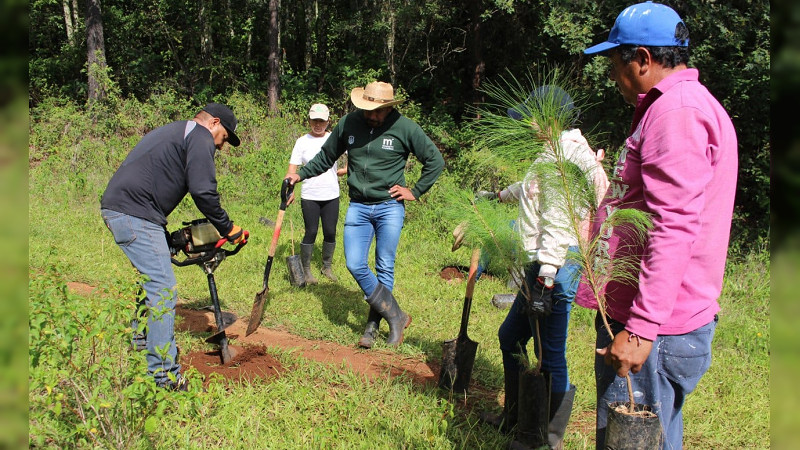 Ayuntamiento de Morelia se acerca al final de la Campaña de Reforestación 2023 