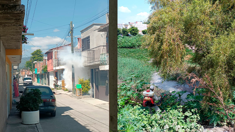 Inicia Salud Michoacán trabajos contra el dengue en 8 colonias de Morelia 