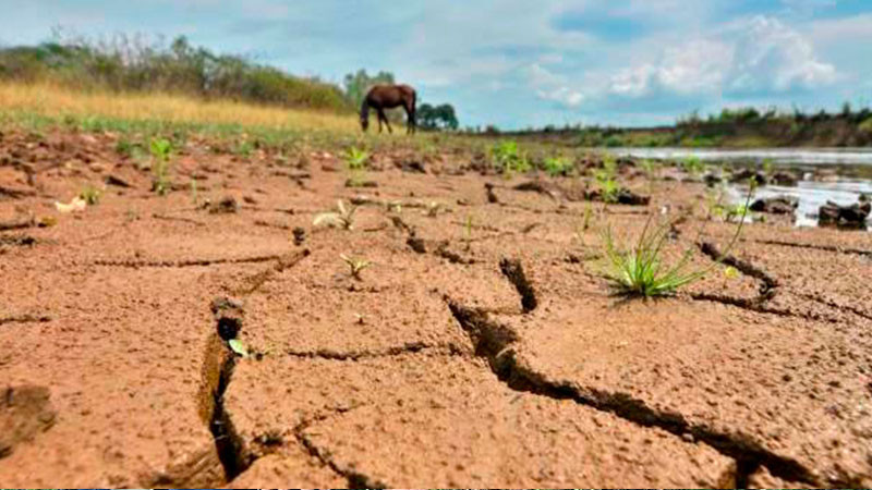 Por bajo nivel de agua en presas, la agricultura en Sinaloa está en peligro, advirtió investigador 