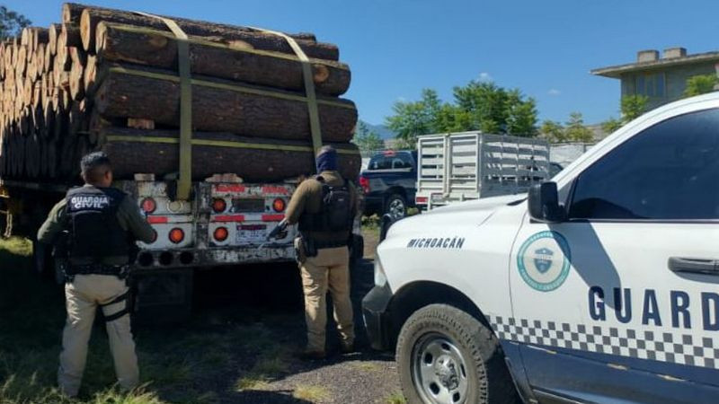 Decomisa Guardia Civil 39 metros cúbicos de pino en Zitácuaro; era transportado ilegalmente