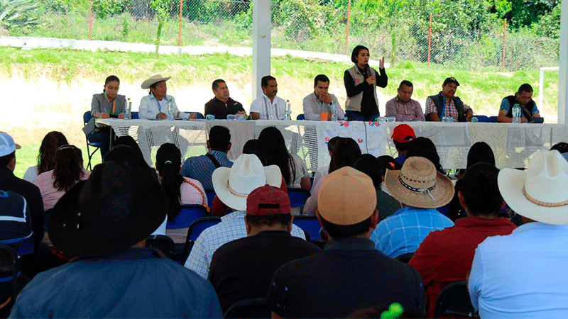 Realiza el IEM primer consulta sobre autoadscripción a personas indígenas de la región oriente del estado
