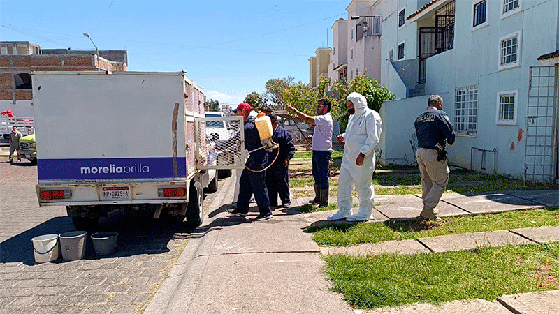 CAA Morelia rescata perritos en estado de abandono 