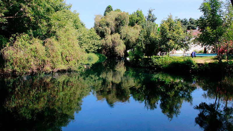 Cuenca del Río Duero será ejemplo de preservación ambiental: Secma