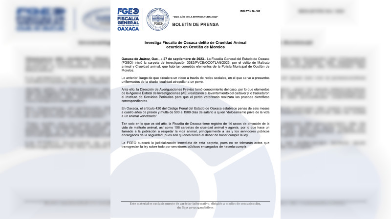 Policías atropellan a perrito hasta quitarle la vida en Ocotlán, Oaxaca; Fiscalía ya investiga