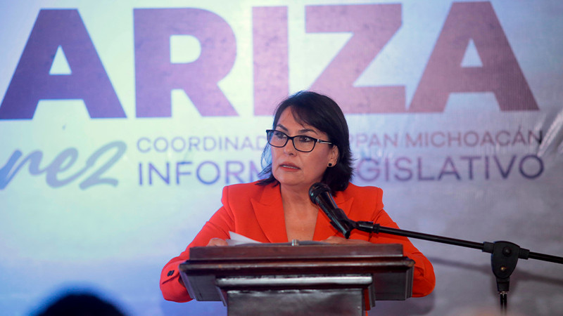 Defender la dignidad de cada persona, mi prioridad en segundo año legislativo: Dip. Lariza Pérez 