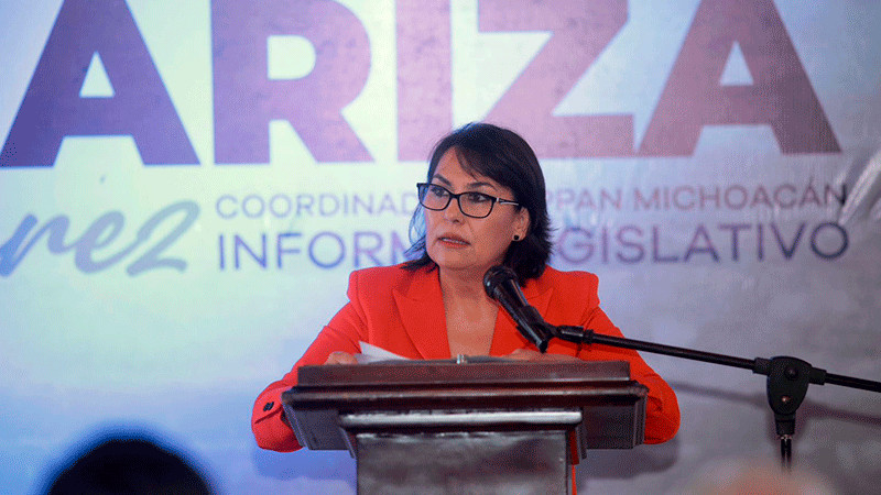 Defender la dignidad de cada persona, mi prioridad en segundo año legislativo: Dip. Lariza Pérez 