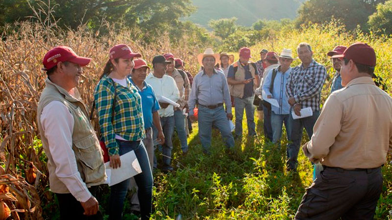 Promueven alternativas de fertilización y mejora de suelos en Chiapas 