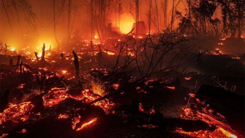  Incendios forestales en Indonesia cubren la región de neblina; escuelas optan por impartir clases en línea  