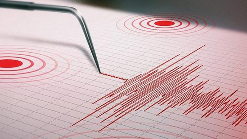 Cinco sismos seguidos azotan India, Nepal y Afganistán; fueron de hasta 6.2 de magnitud 