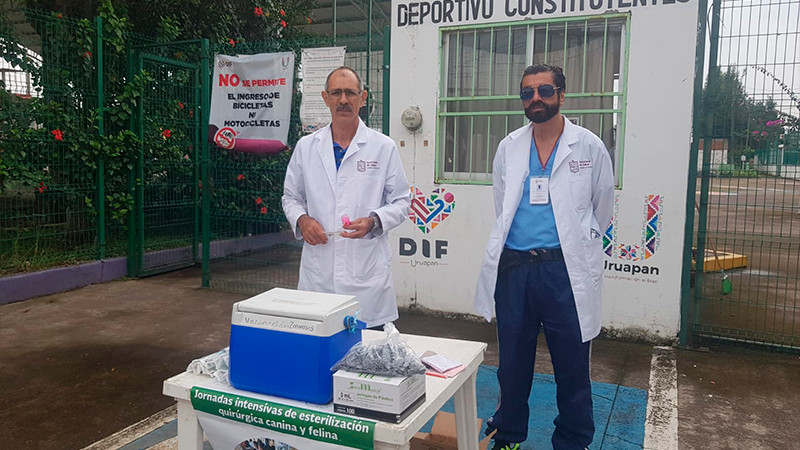 Este jueves, vacunación antirrábica canina y felina en Uruapan