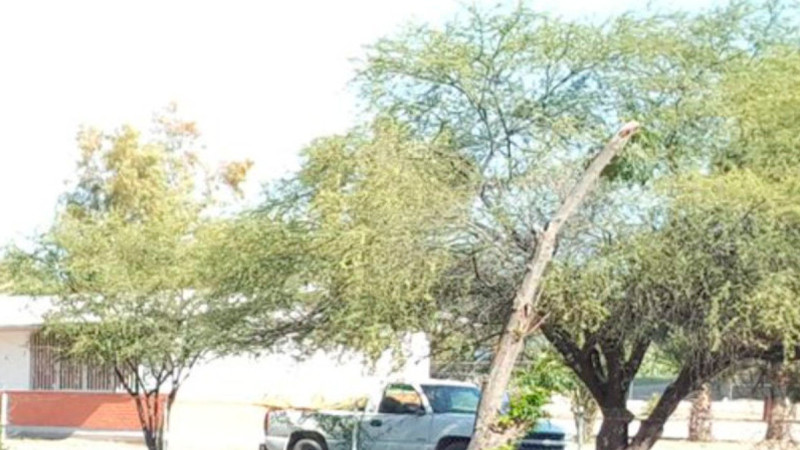 Se intoxican 27 personas en escuela primaria de Coahuila 