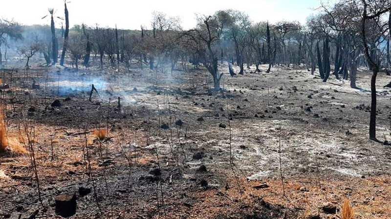Incendios forestales azotan la provincia argentina de Córdoba 
