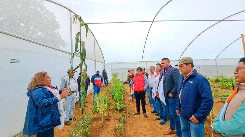 Entrega Sader semillas de hortalizas a familias de la Meseta Purépecha