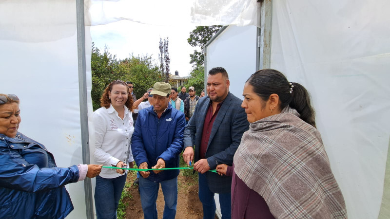 Entrega Sader semillas de hortalizas a familias de la Meseta Purépecha