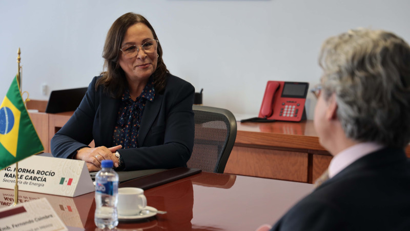Rocío Nahle renuncia como secretaria de Energía; buscará la gubernatura de Veracruz 