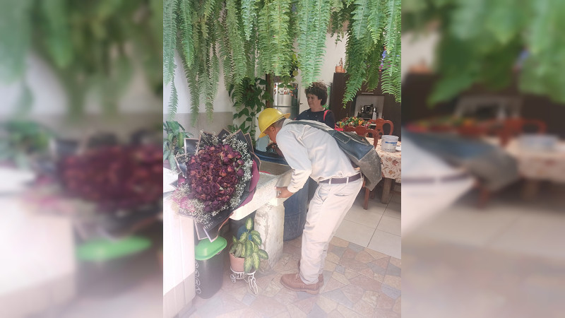 SSM fumiga 13 colonias de Morelia para combatir el dengue 