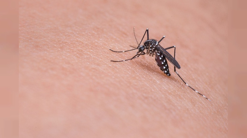 Fallece niña de 12 años por posible dengue en Aguascalientes 