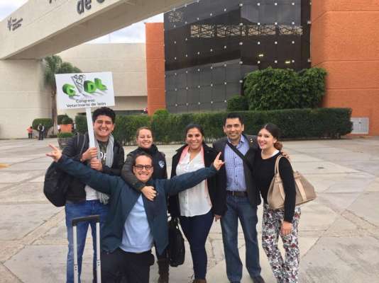 200 alumnos nicolaitas participan en el Congreso Veterinario de León - Foto 0 