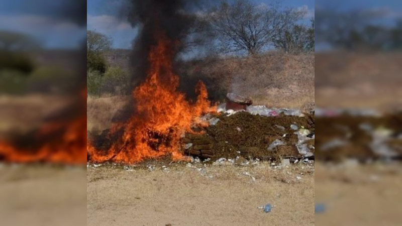 Destruyen en Sinaloa 7.5 toneladas de drogas y 49 mil litros de precursores químicos 
