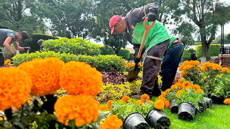 Revisten de color, tradición y cempasúchil los jardines y plazas de Morelia 