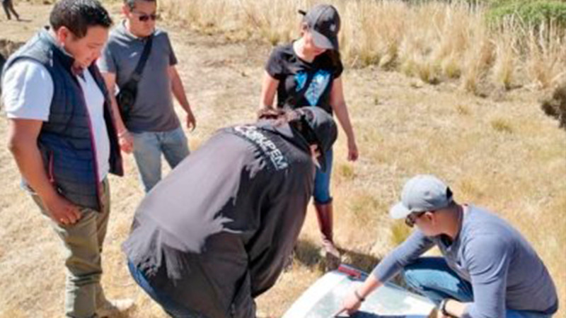 Encuentran siete fosas clandestinas en Tecomán, Colima  