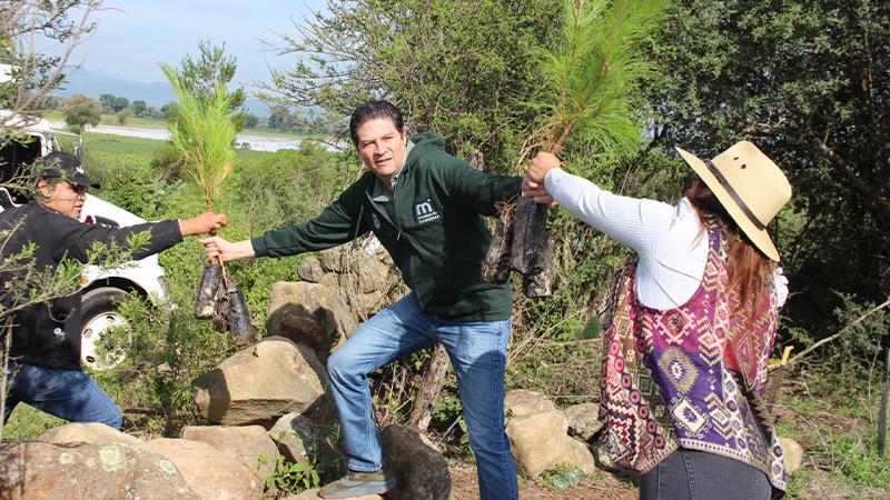 Gobierno de Morelia rebasa meta de 700 mil árboles plantados en el municipio