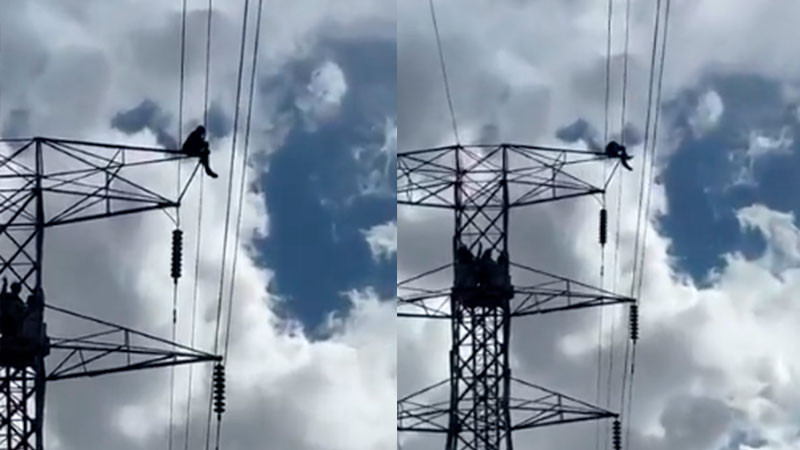 Hombre se sube a una torre de la CFE y deja sin luz a Hermosillo, Sonora 