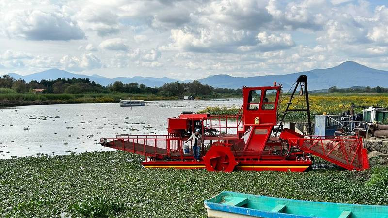 Comisión de Pesca de Michoacán invierte 11 mdp para limpieza del lago de Pátzcuaro 