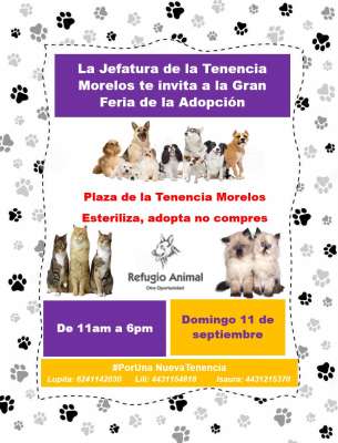Feria de Adopción Canina en la Tenencia Morelos 