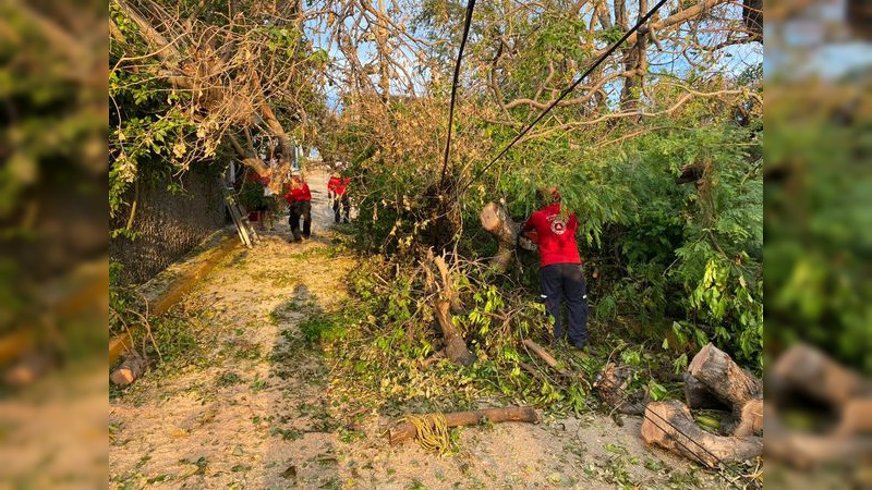 En Tabasco, tormenta tropical Pilar deja inundaciones y árboles caídos 