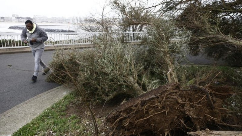 Tormenta Ciarán deja una persona sin vida y ráfagas de viento récord en Francia 